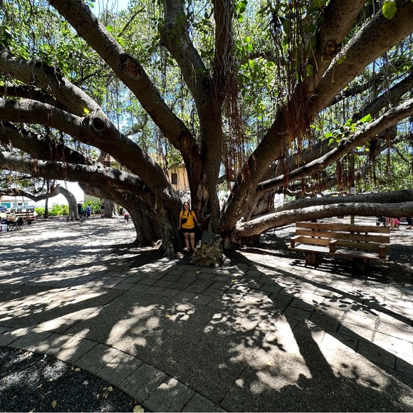 Meet your Posher, Tonya - Picture 9 of 17